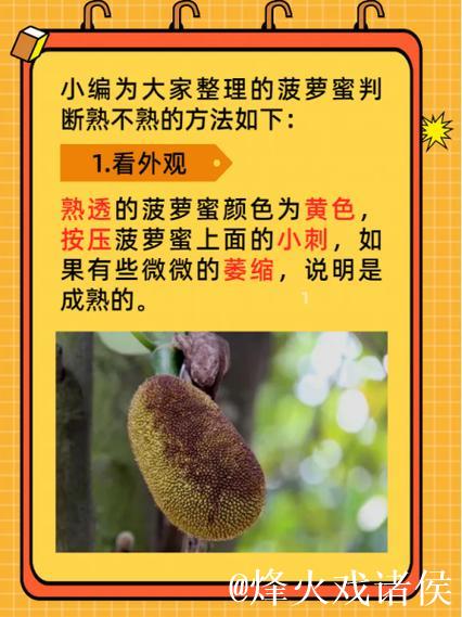 菠萝蜜视频软件免费看精选内容